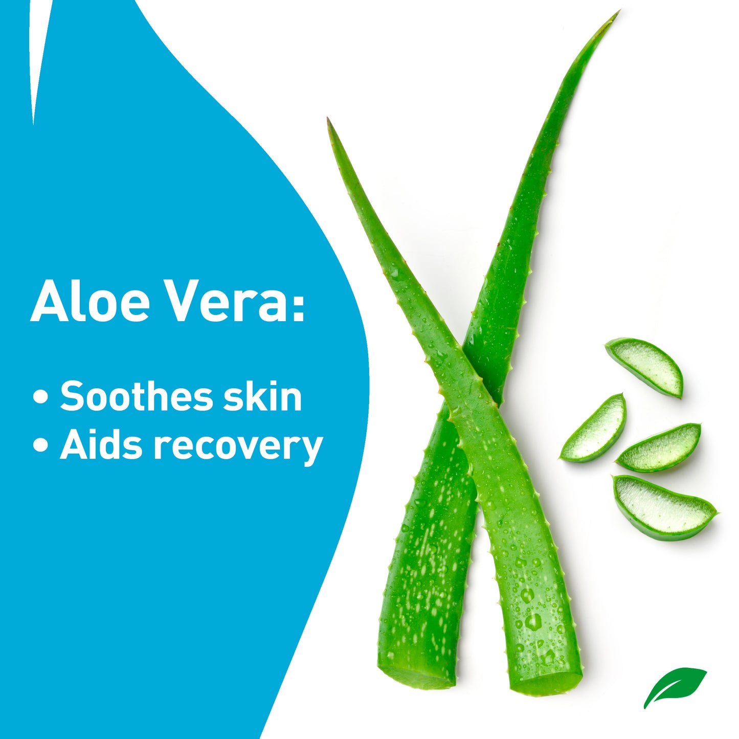 PROcure Epsom Salt Rub Gel with Aloe Vera 6 Fl Oz (Pack of 3)