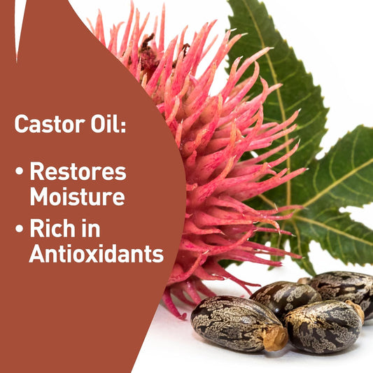 PROcure Everything Everywhere Balm